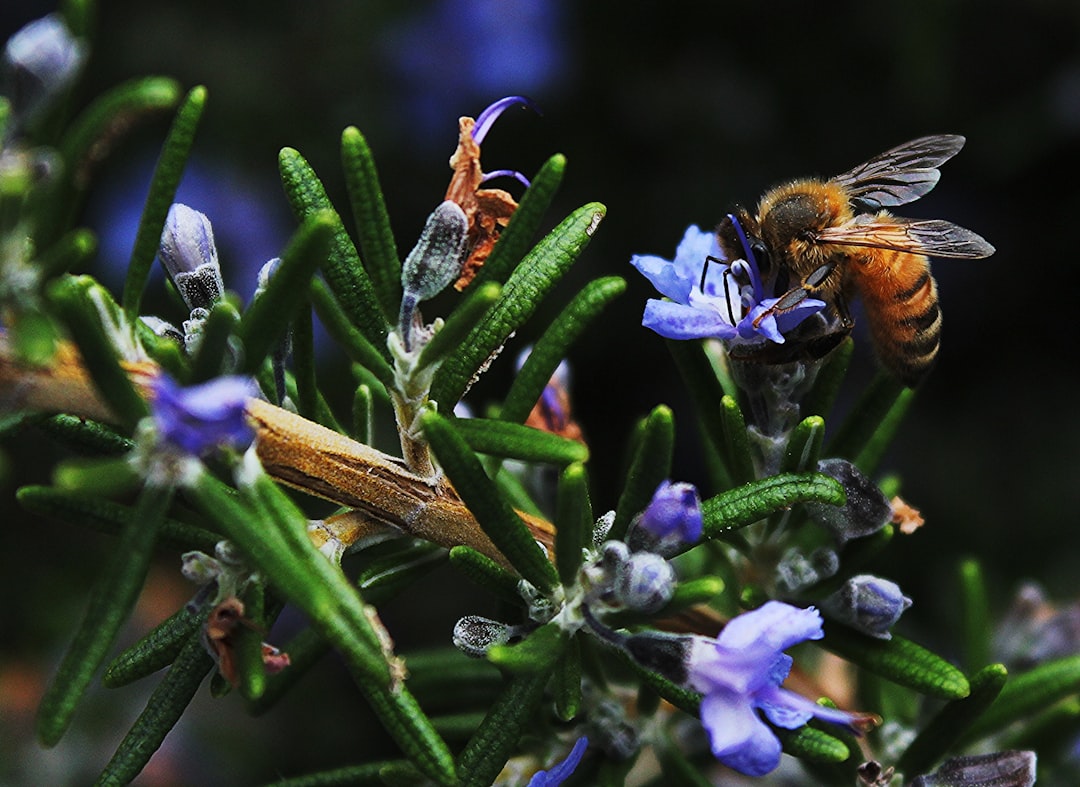 Biodiversity Amidst Threats