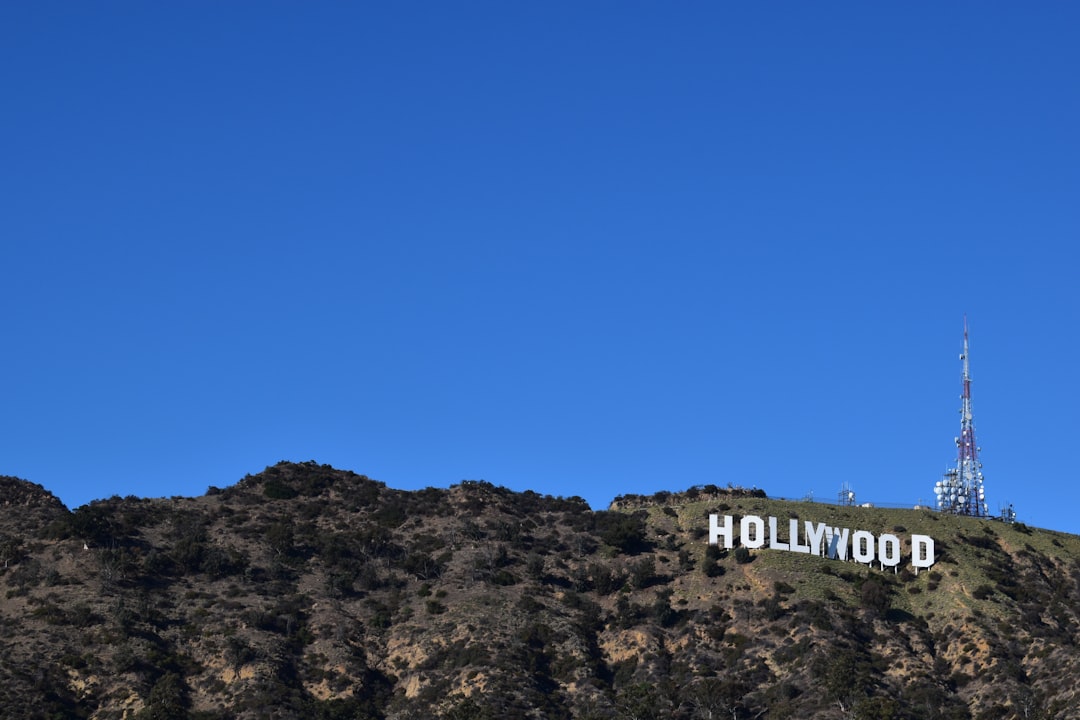 Penn's Activism: From Hollywood to Humanitarianism