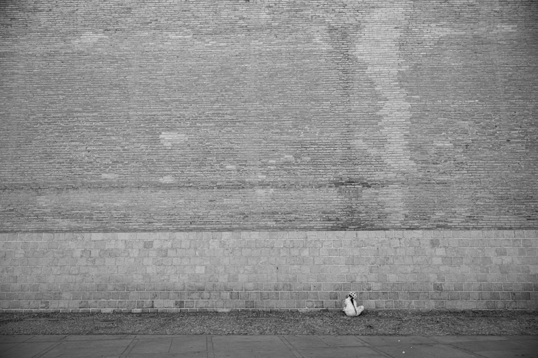 Key Targets and Damage Assessment