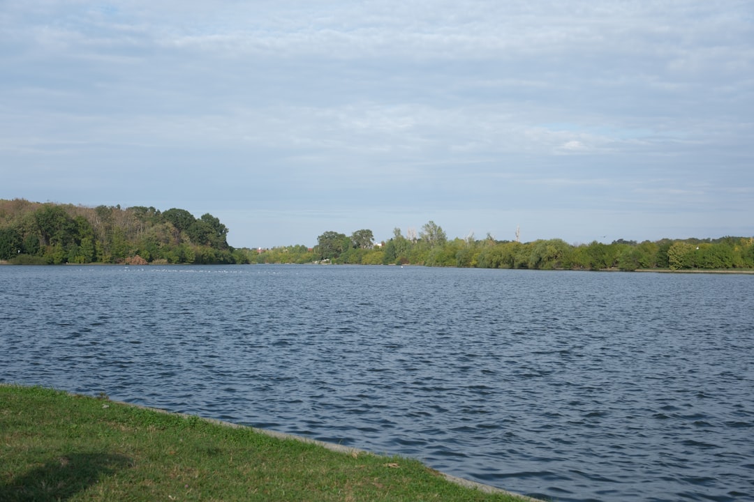 The Context of Lake's Appointment