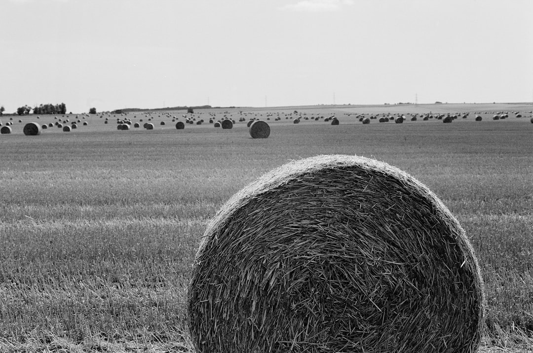 A New Agricultural Identity