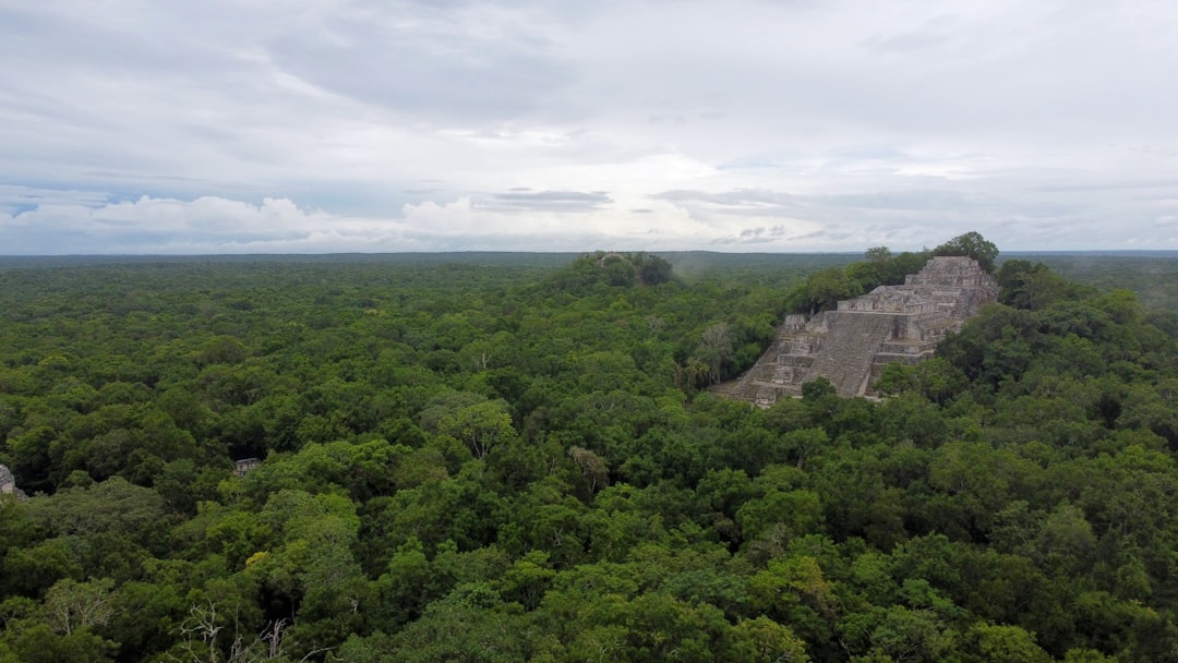 The Impact on Maya Gebala