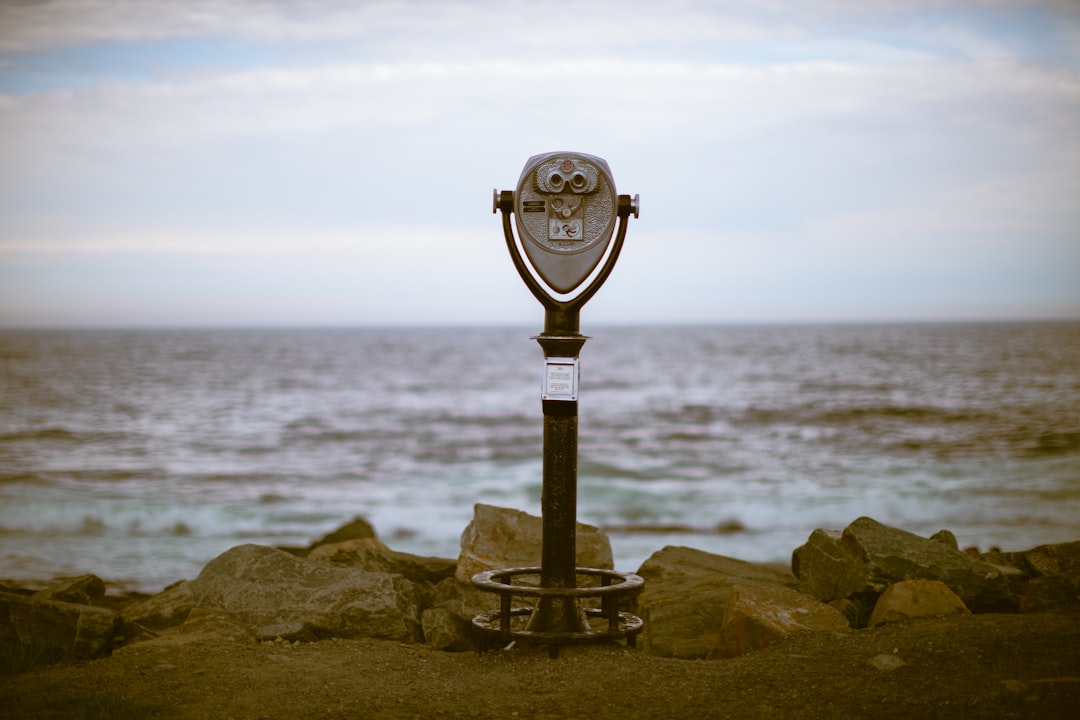 Looking Towards the Future