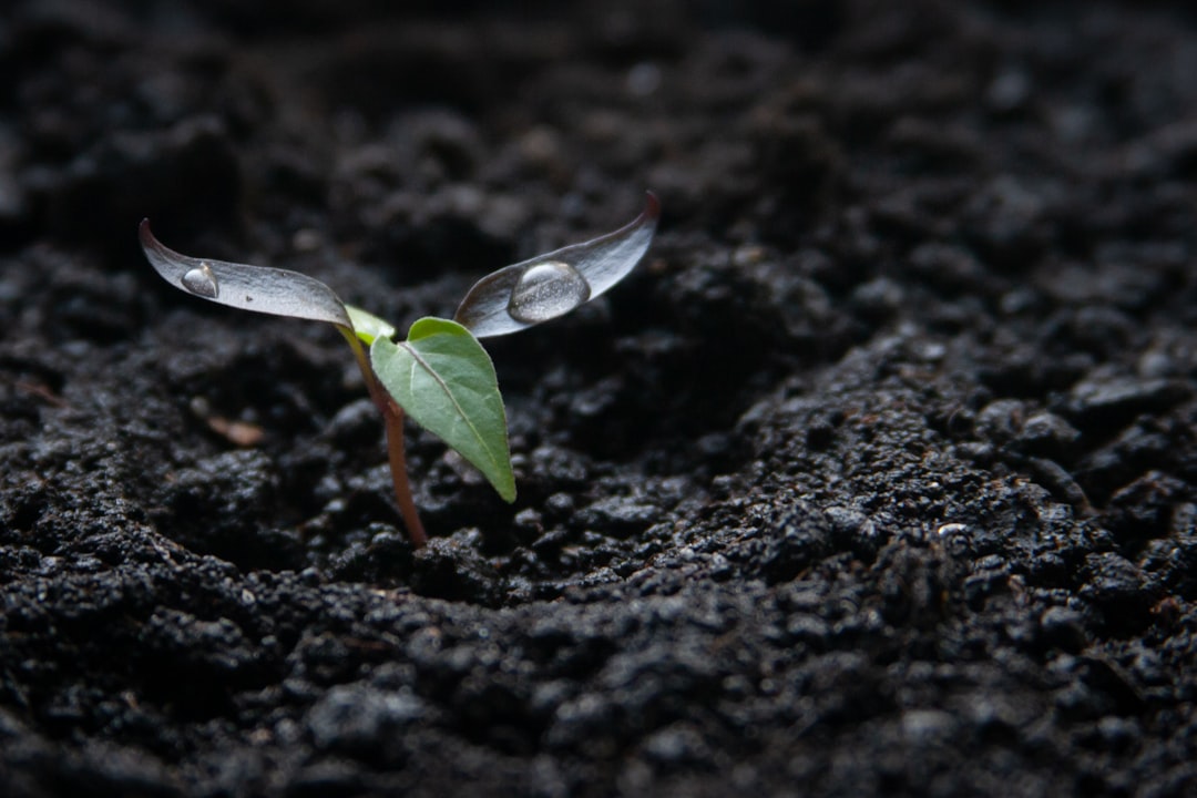 A Vision for Sustainable Growth