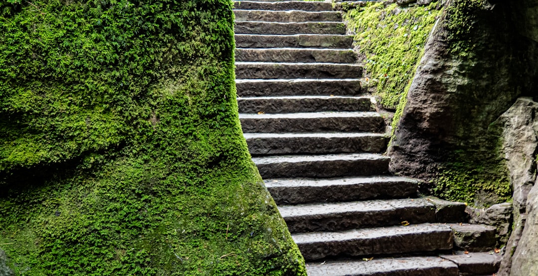 Steps Towards a Sustainable Solution