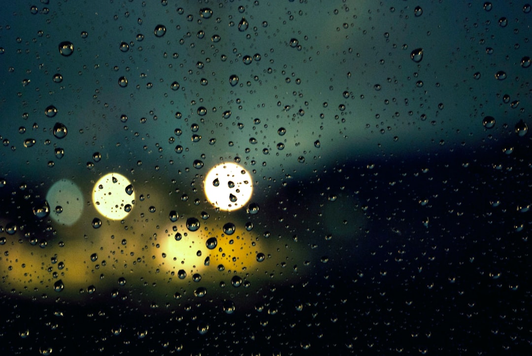 Bright Spots Amidst the Gloom