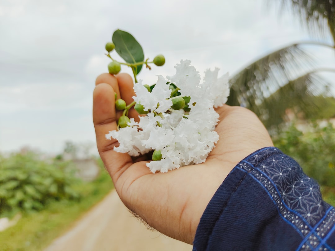 Natural Gas: A Growing Export Market