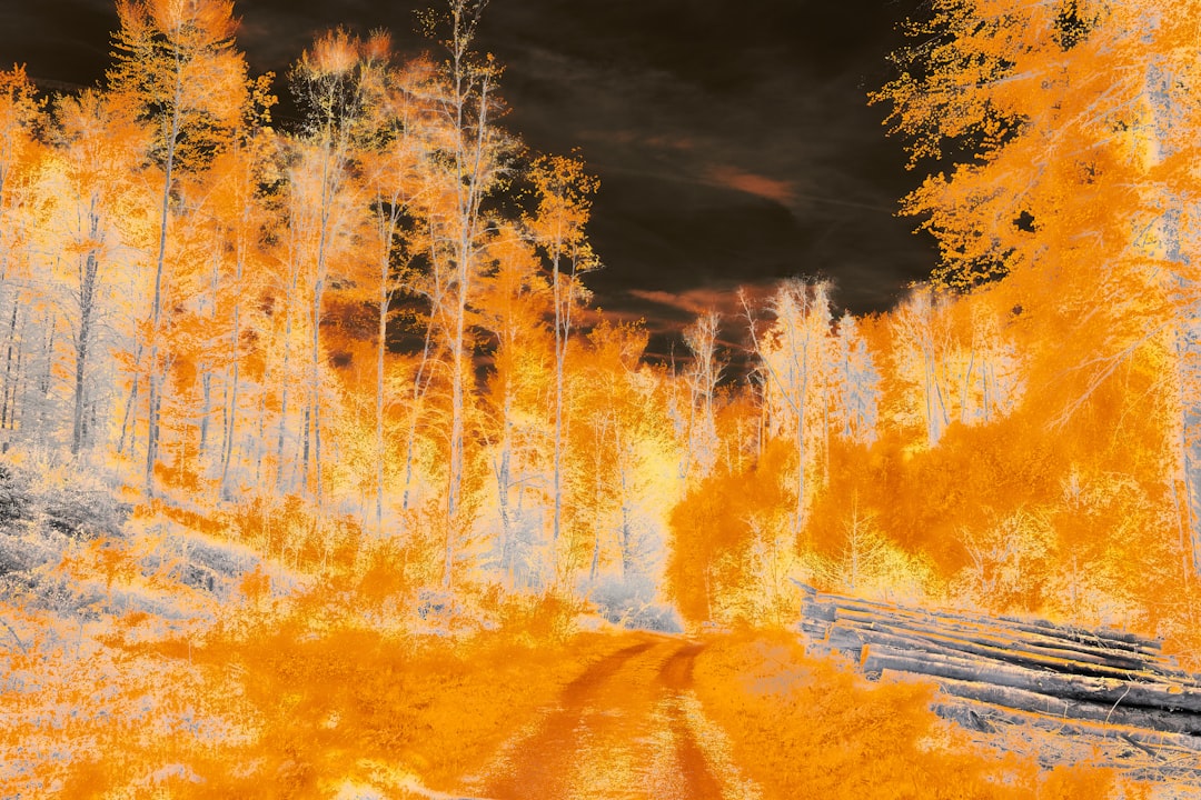 The Broader Context of Wildfire Risks