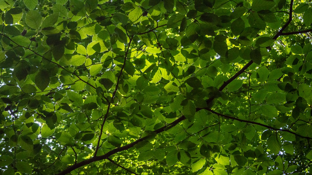 Filling the Gap Left by Aid