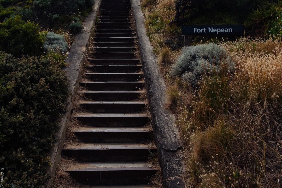 The Path Forward: Focus on Collaboration