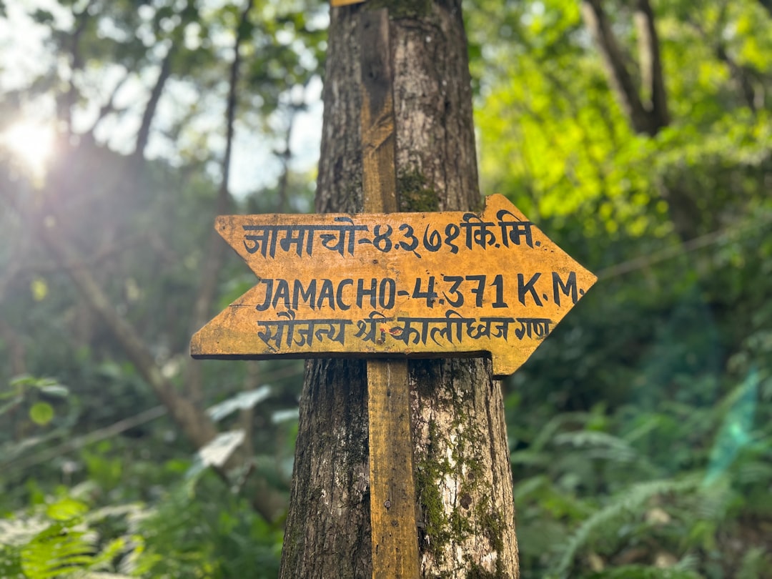 Janmark’s Journey in the NHL