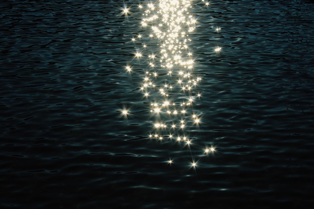 Rising Stars Shine Bright