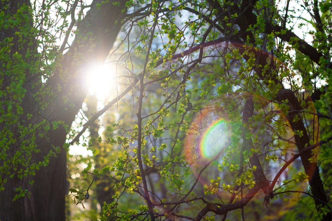 A Vision for Healing and Survival