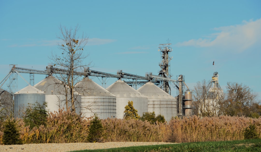 Economic Ramifications