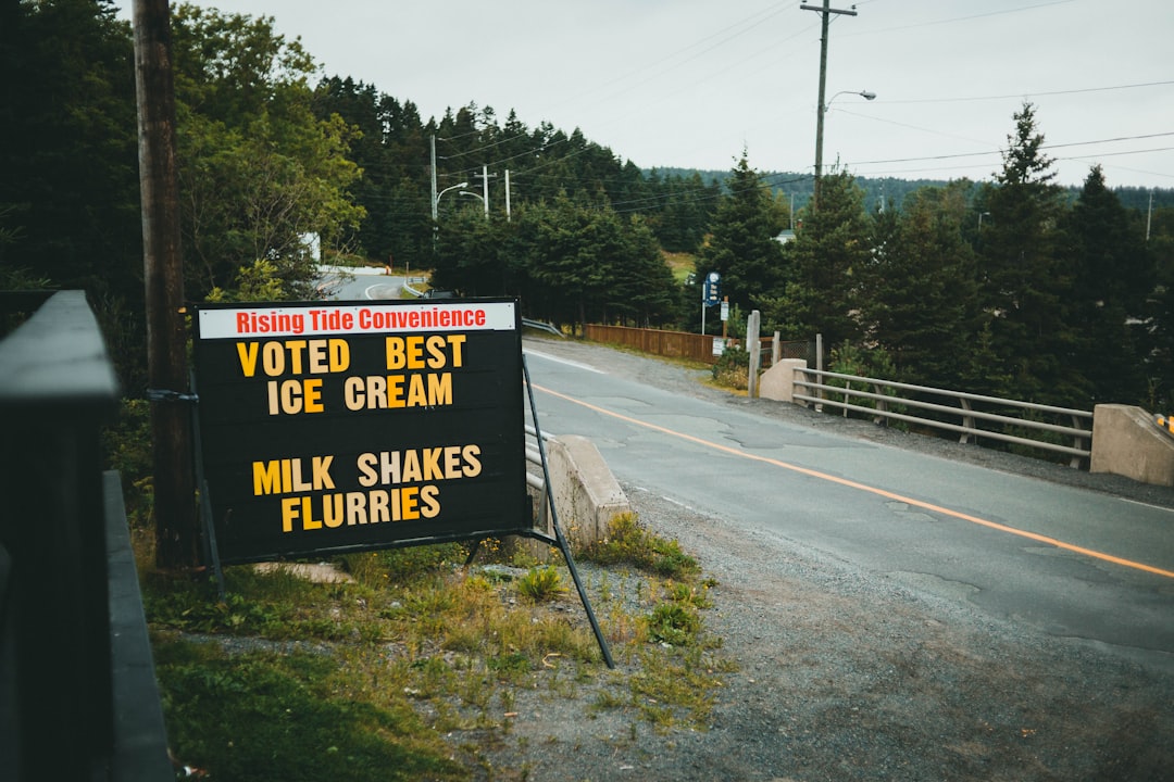 Campaign Strategies and Voter Sentiment