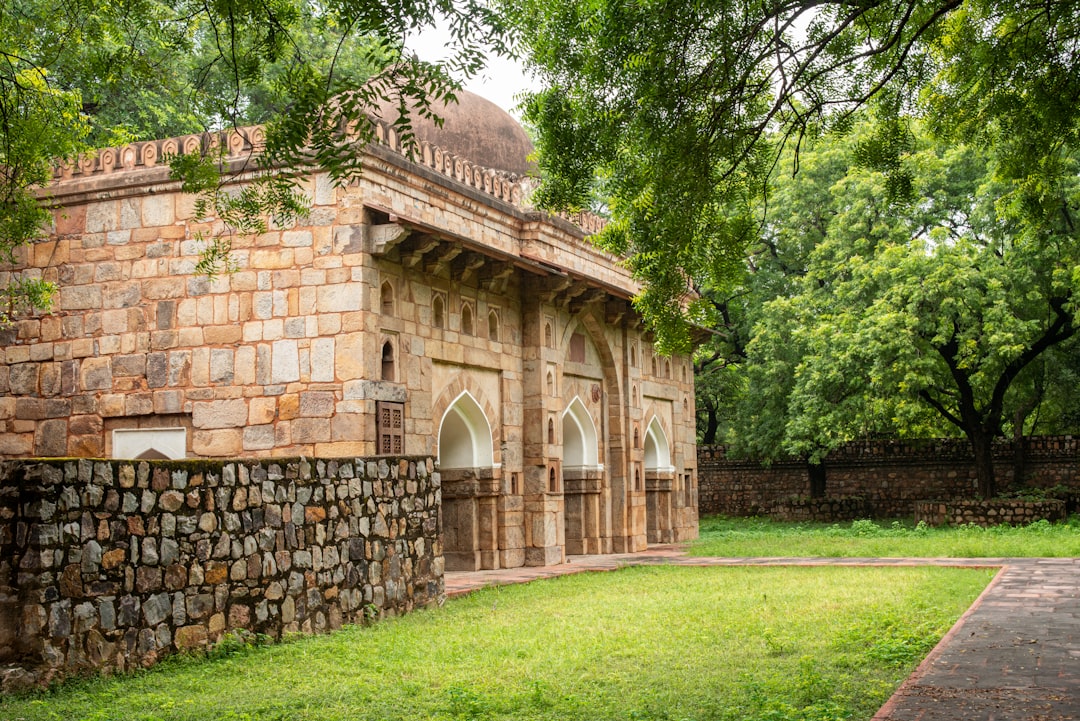 Historical Context and Institutional Response