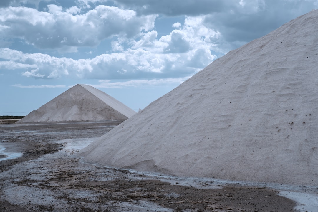 The Economic Costs of Salt Usage