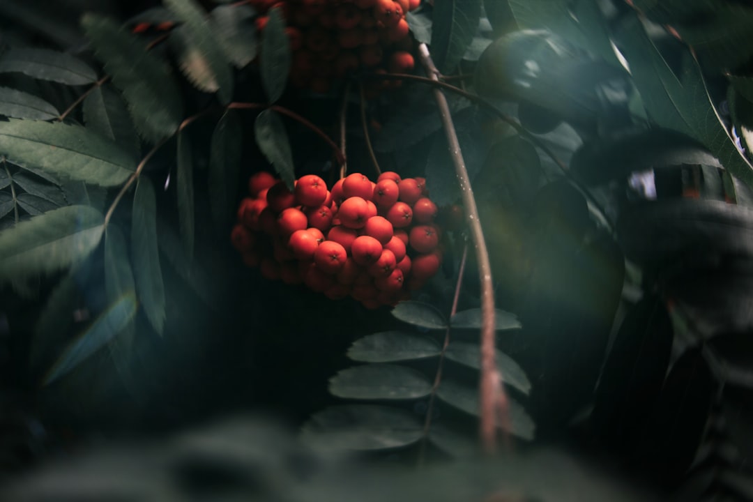 Details of the Outbreak