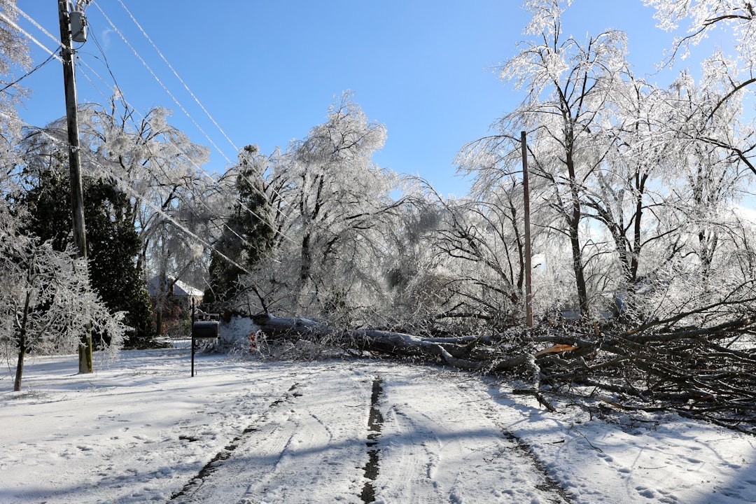 Environmental Impacts of Road Salt