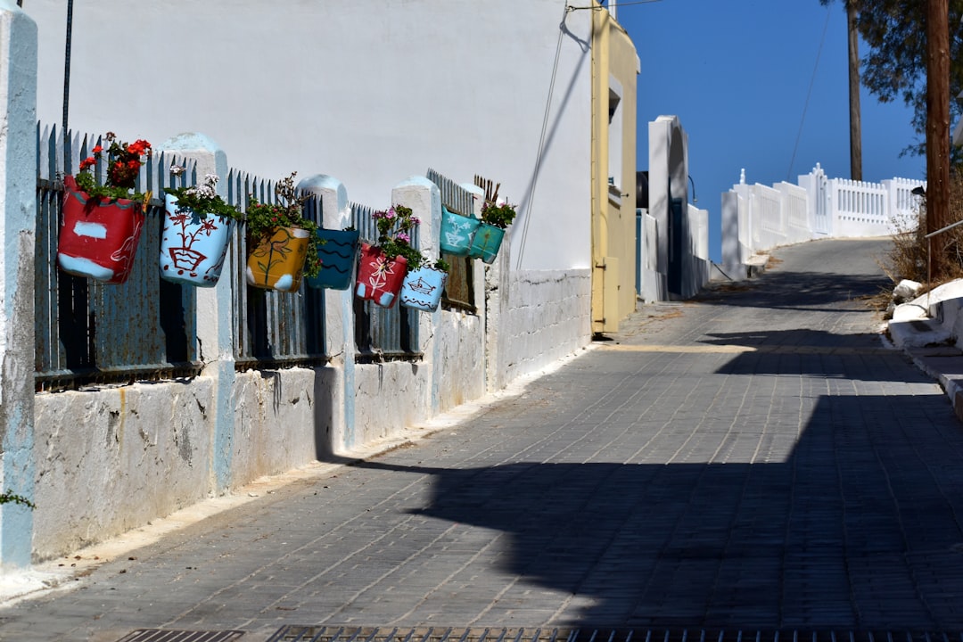 The Court's Findings