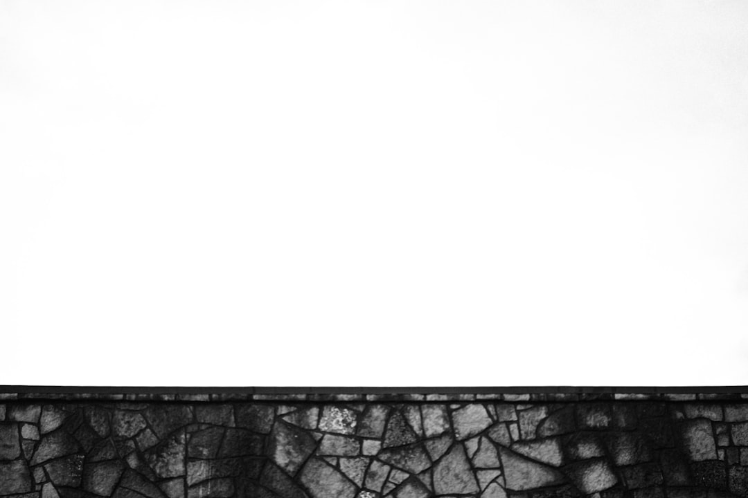 A Legacy of Loss and Reflection