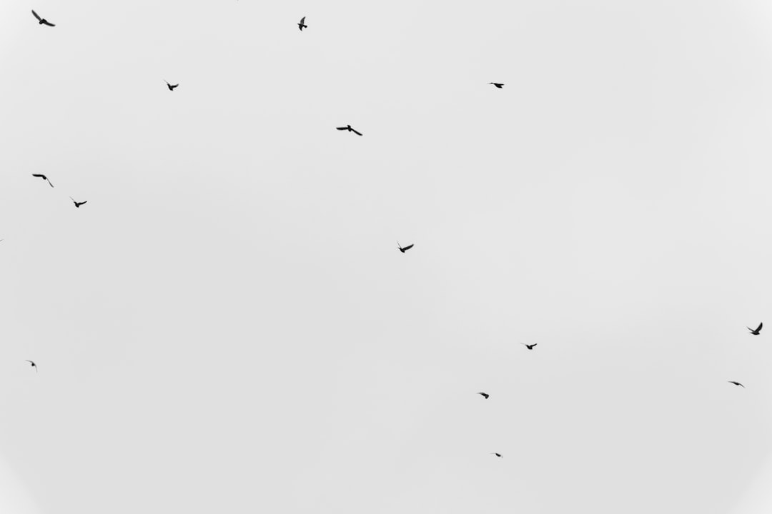 Reactions and Critiques