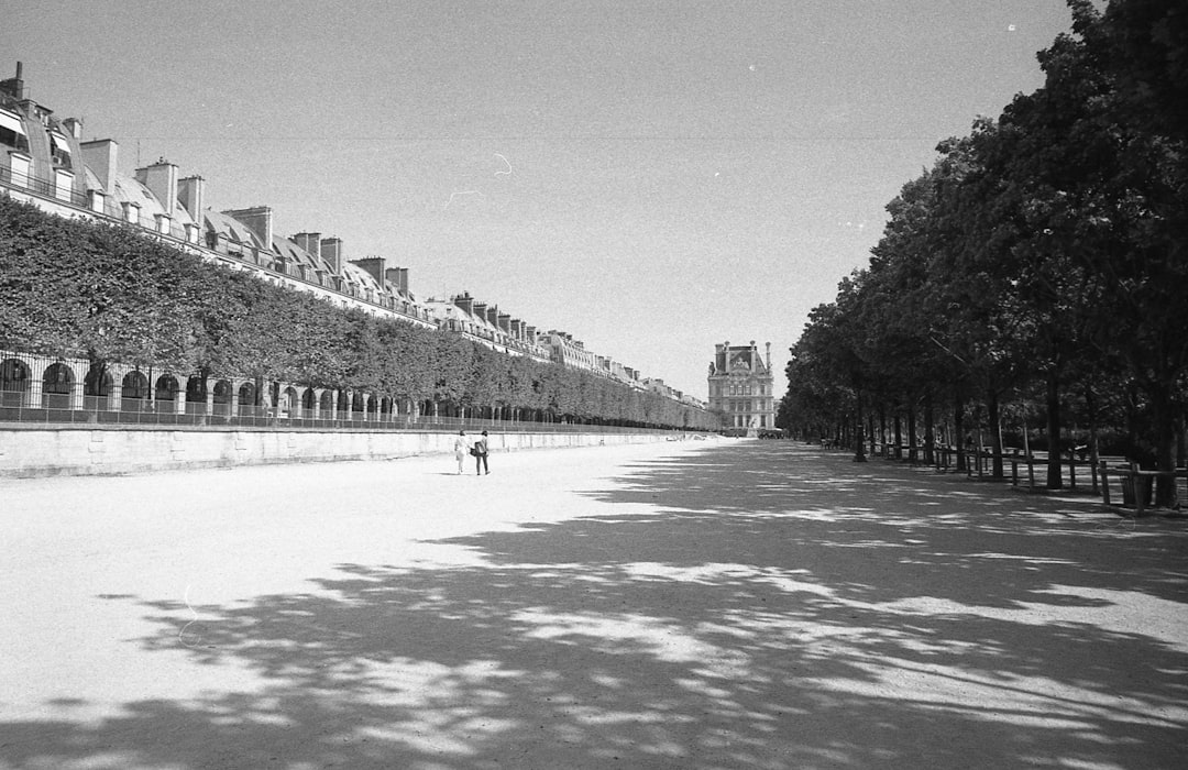 Regional Disparities Highlight Complex Market Dynamics