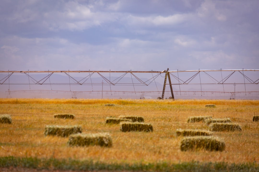 The Economic Strain on Farmers