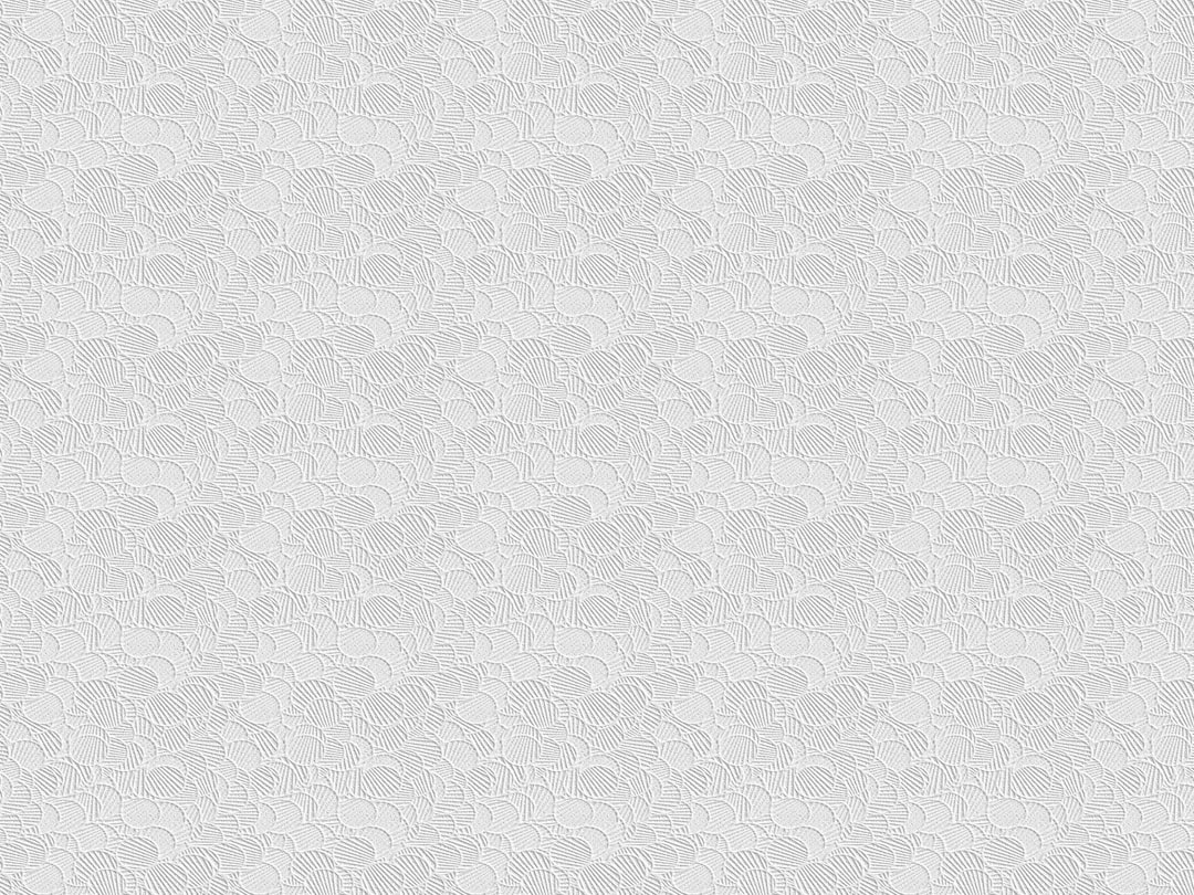 Growing Domestic Criticism