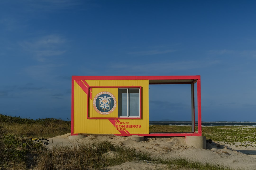 Government Response and Public Health Implications