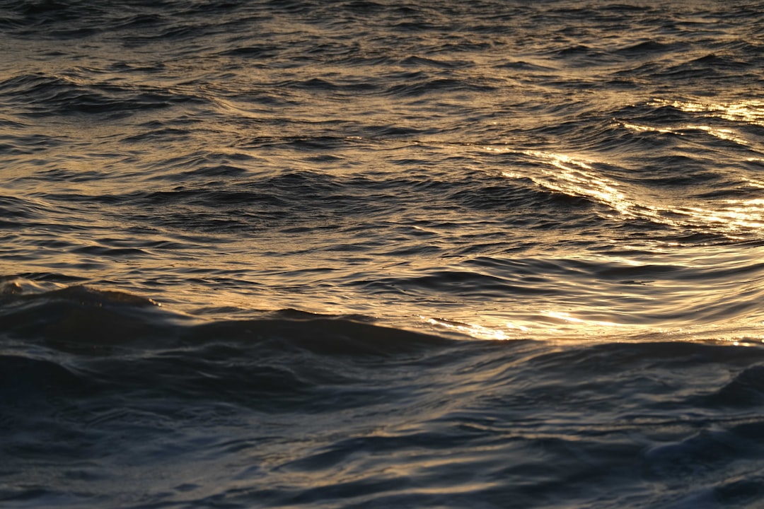 A Glimmer of Hope for Marine Biodiversity