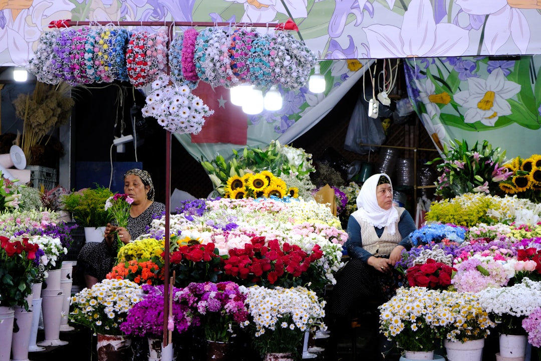 Iranian Justifications and Regional Reactions