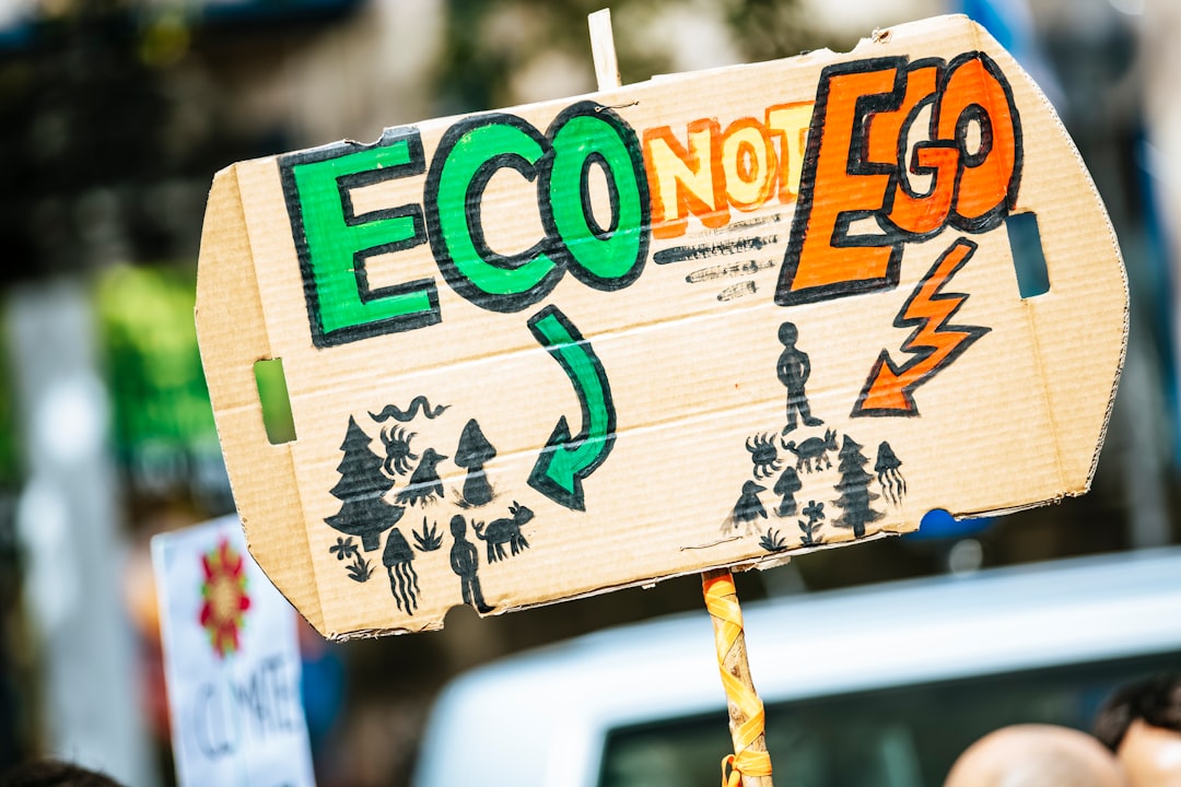 Implications for Environmental Activism