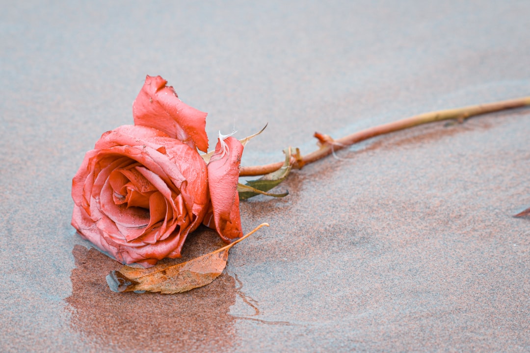 Rethinking Our Relationship with Death