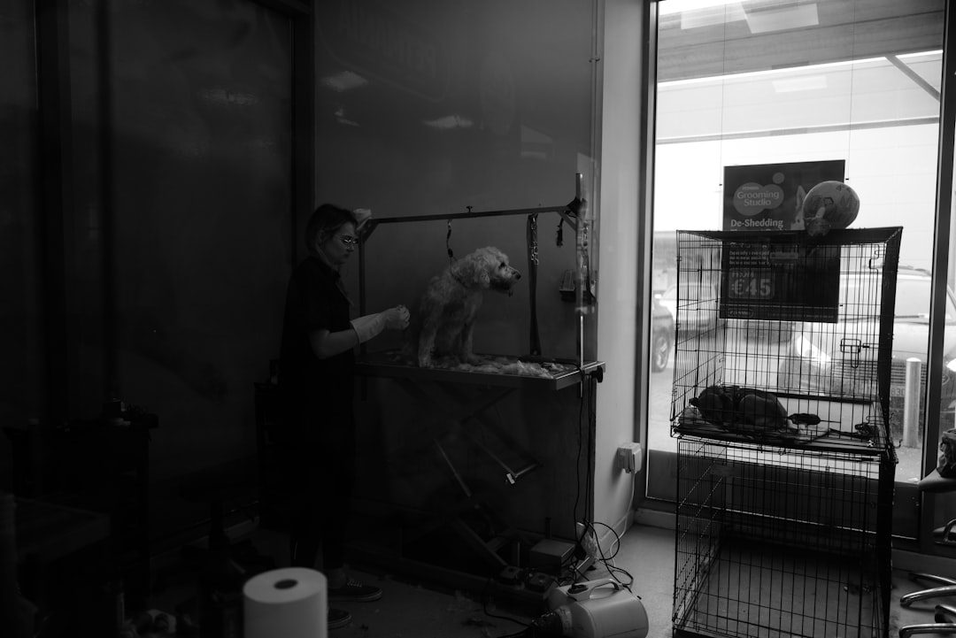 Preparations and Testing Protocols