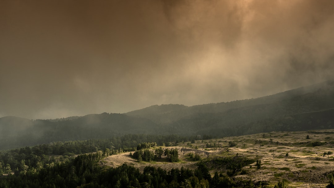 Government's Perspective on Wildfire Preparedness