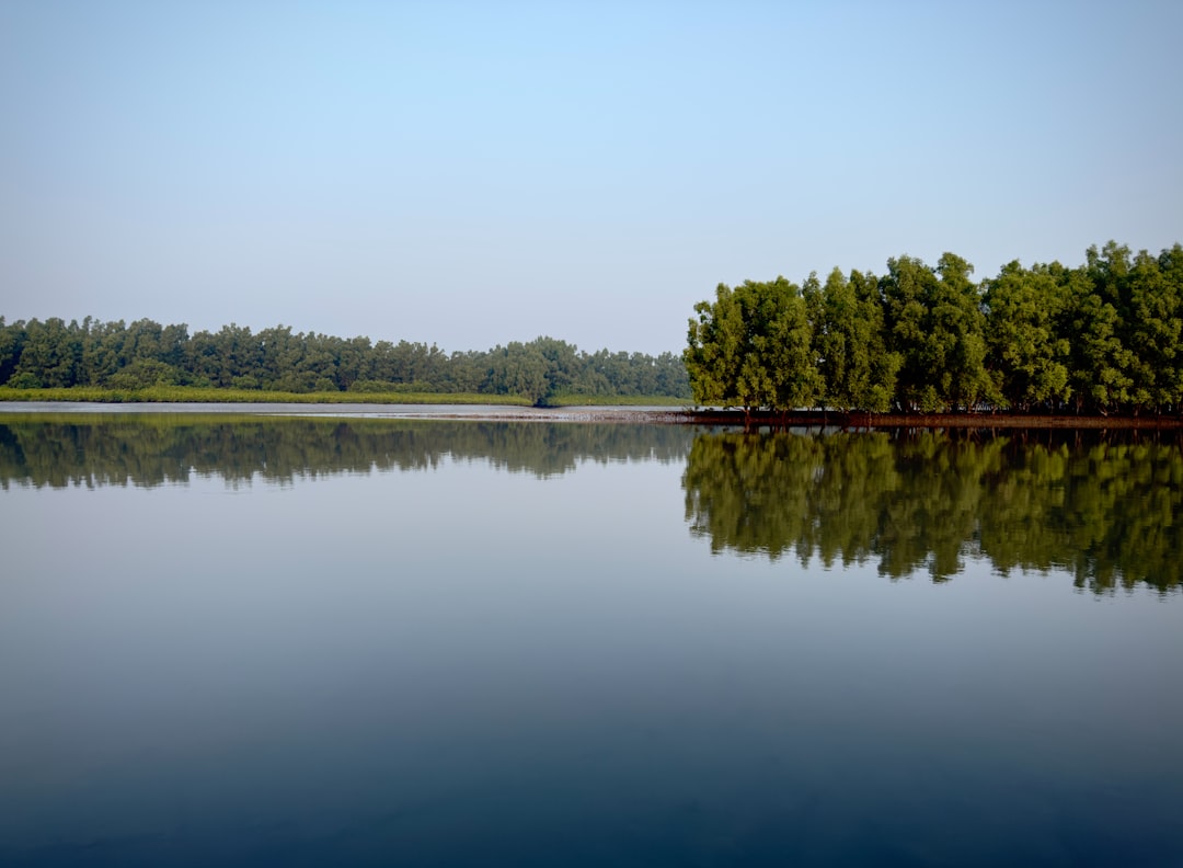 Filling the Void in Global Climate Financing