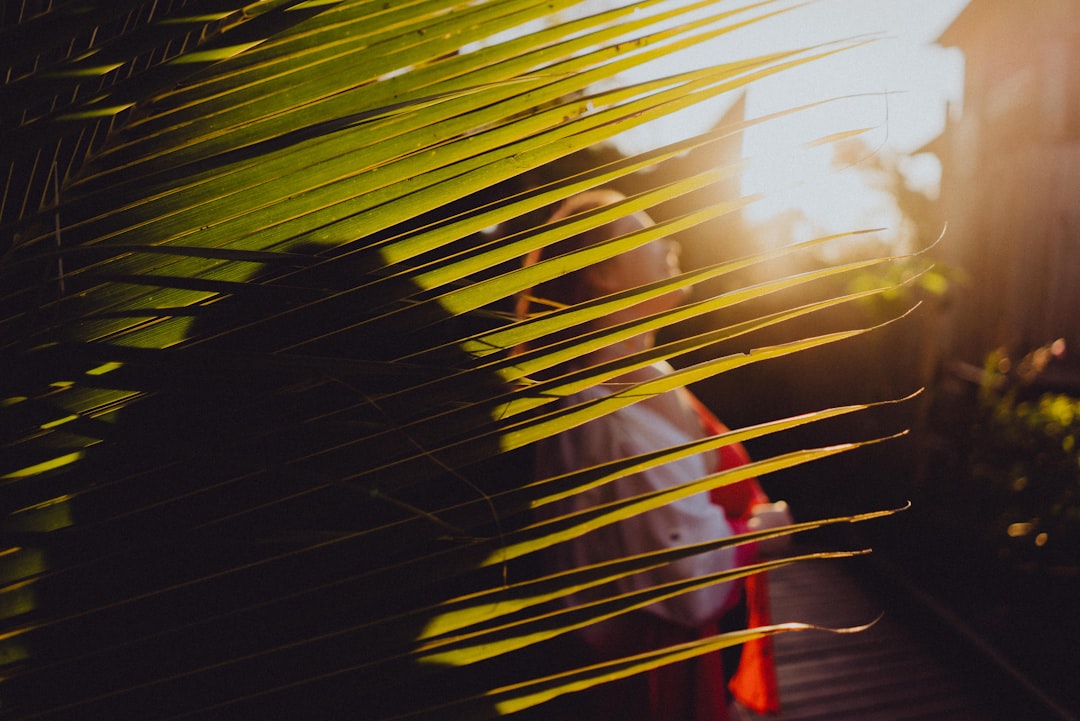 The Art of Healing and Witnessing