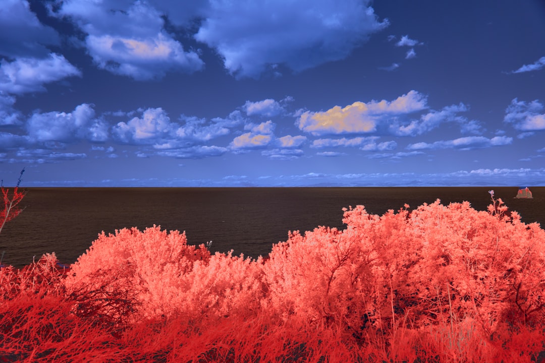 A Shift in Perspective