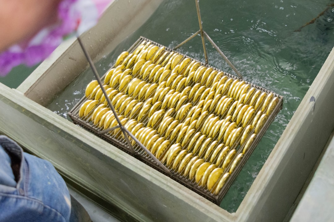 The Challenge of Change