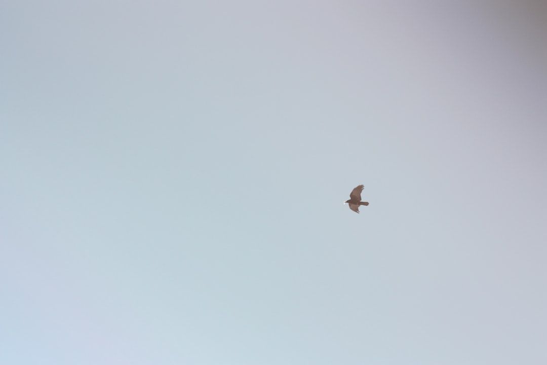 Potential for an Inquiry