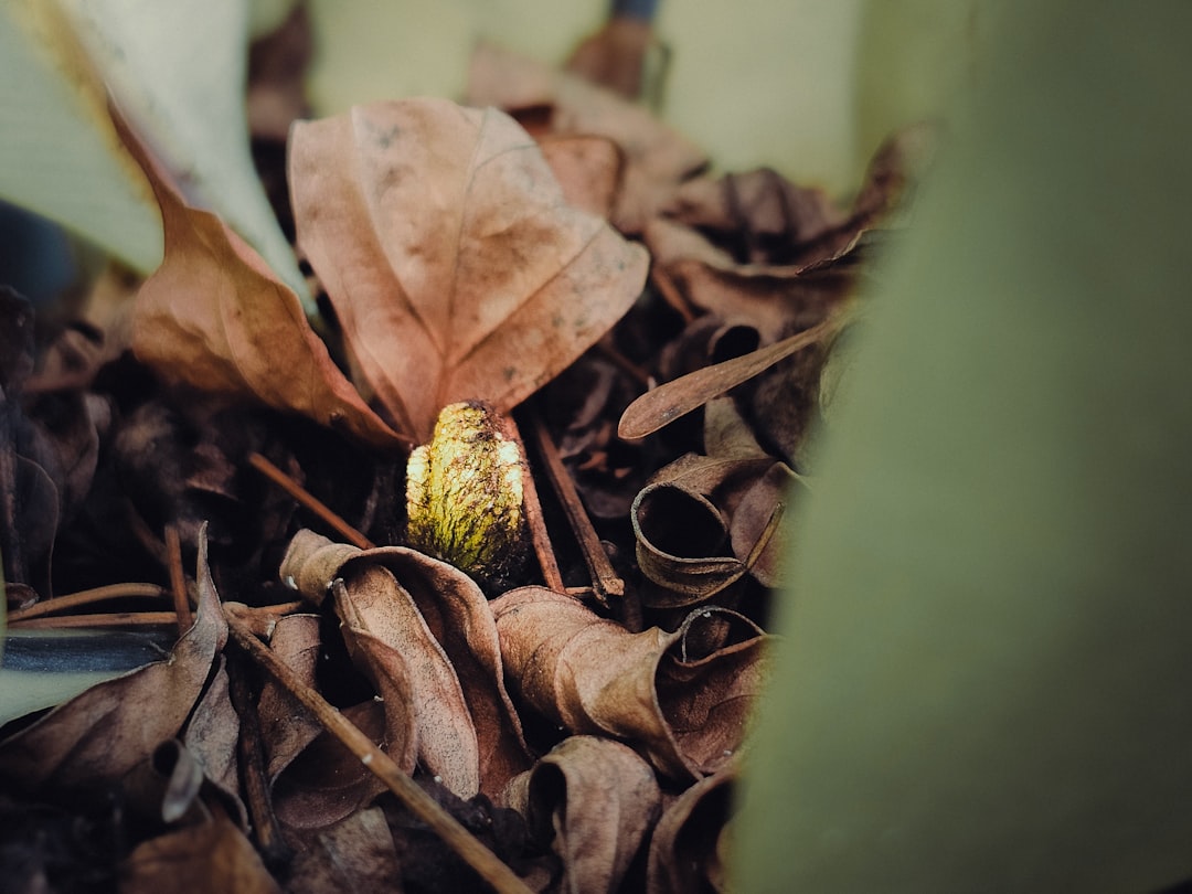 Future Outlook Remains Uncertain