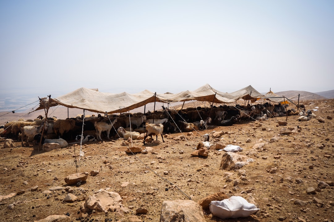 Humanitarian Crisis Deepens