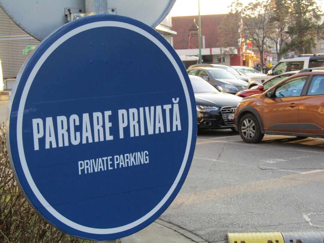 The Flaws of Privatisation