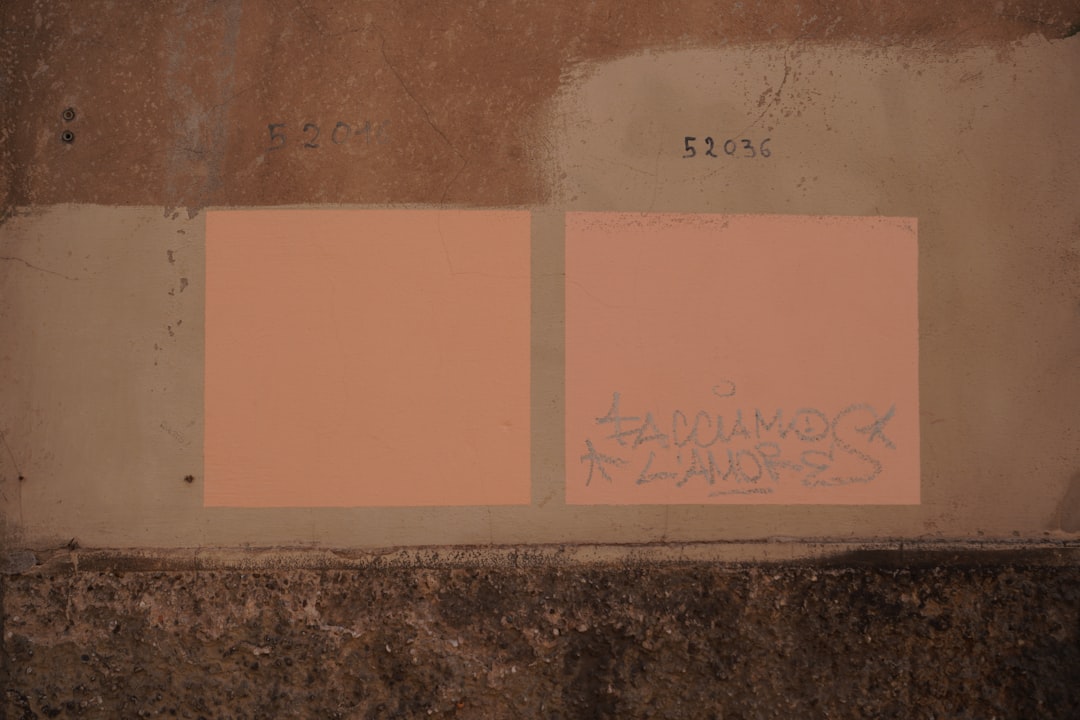 The Panel's Findings