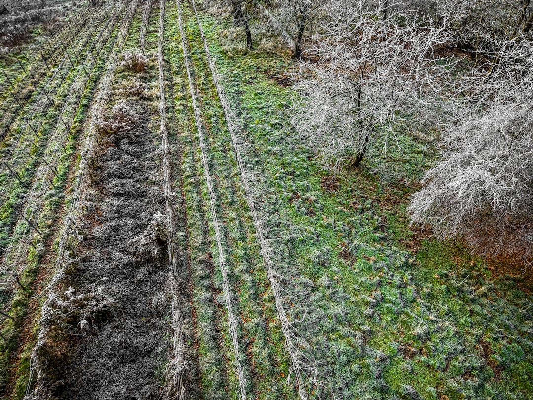 Changing Farming Practices and Policies