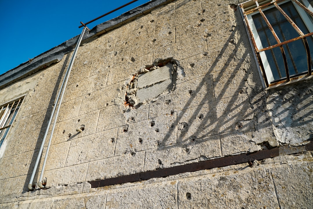 The Shadow of Conflict