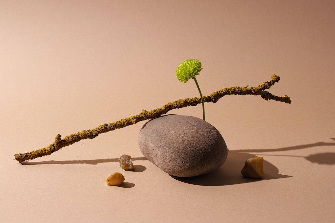 Balancing Interests in the Creative and Tech Sectors