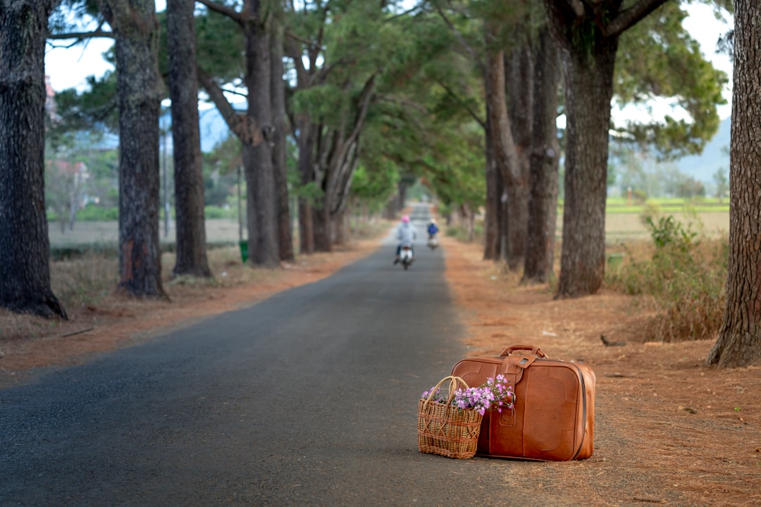 The Allure of Long-Haul Travel