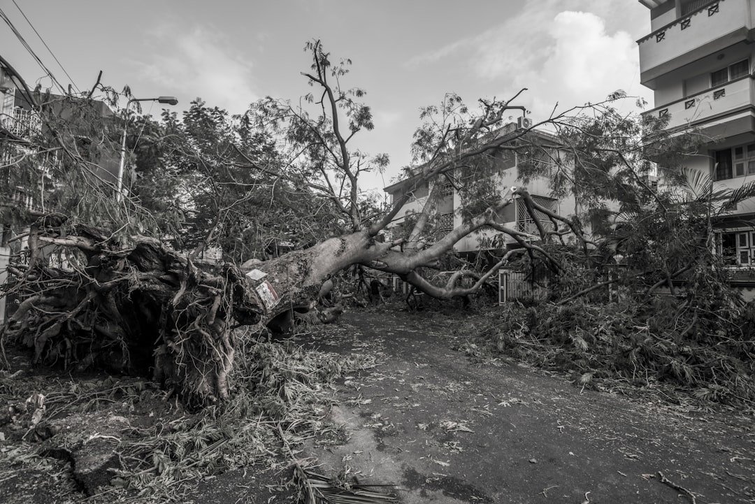 Challenges in Assessing Damage